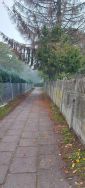 Chodnik między ulicami: Żeromskiego - Cmentarna - strzyżenie przerośniętych drzewostanów i zabezpieczenie kwietników
